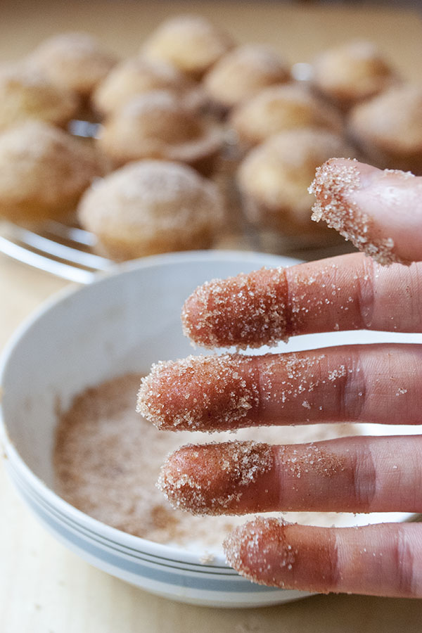 muffins die wie donuts schmecken mit zucker und zimt